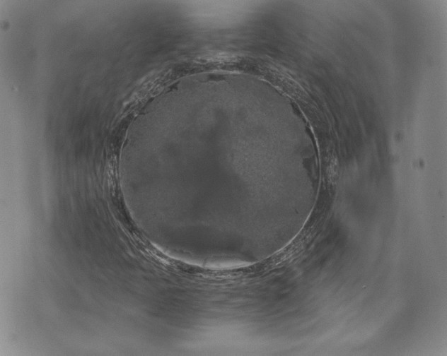 X0000072961397200608041141