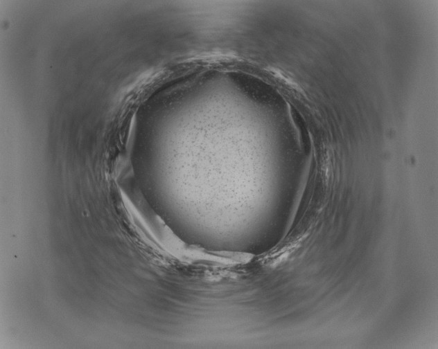 X0000072961398200608041141