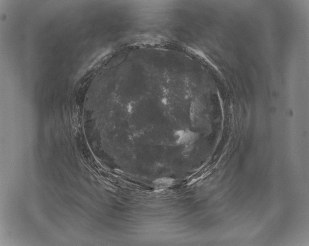 X0000072961399200608041141