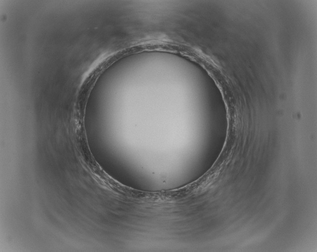 X0000072961400200608041141