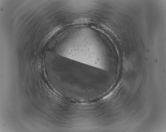 X0000072961401200608041141