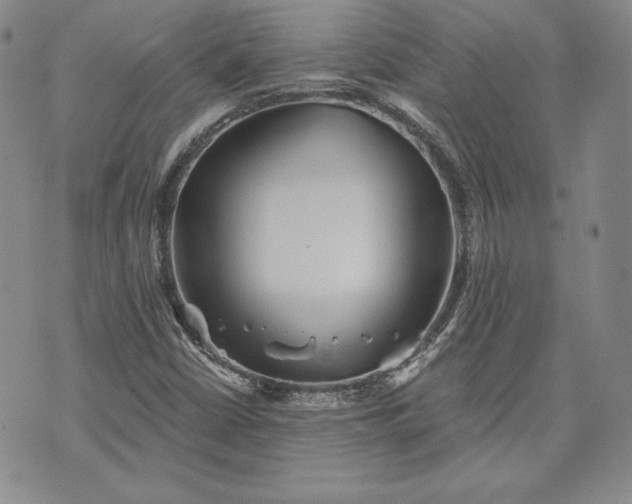 X0000072961402200608041141