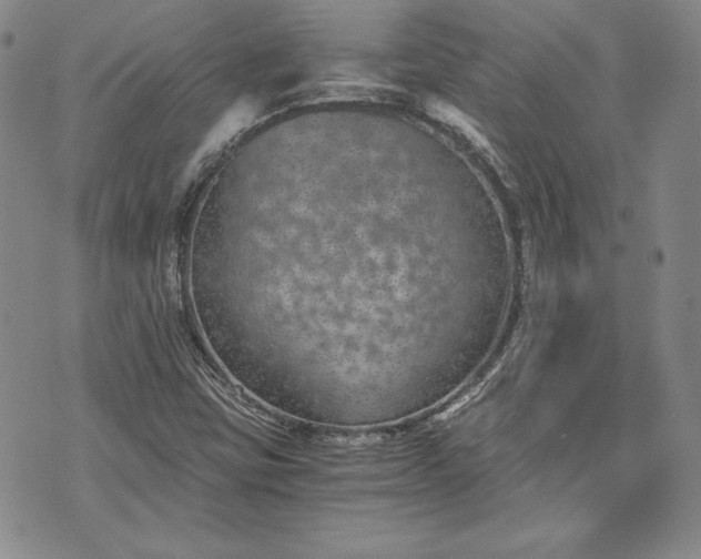 X0000072961403200608041141