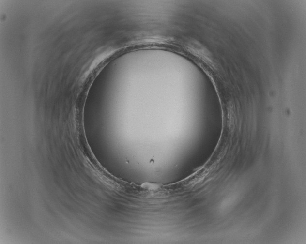 X0000072961404200608041141