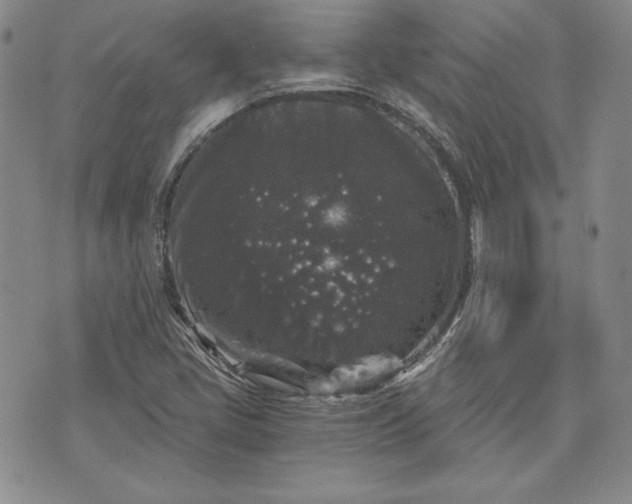 X0000072961405200608041141