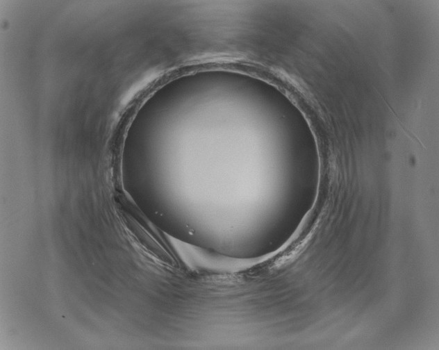 X0000072961406200608041141