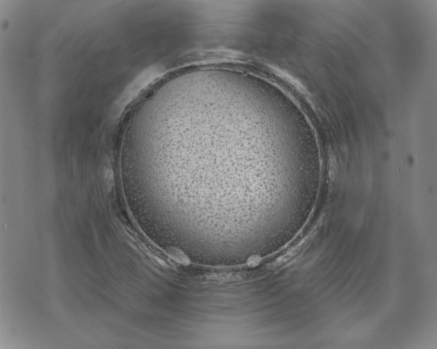 X0000072961407200608041141