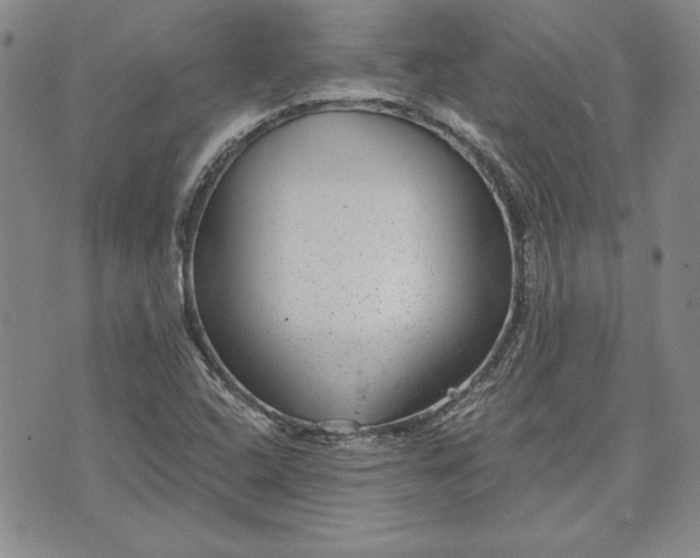 X0000072961408200608041141