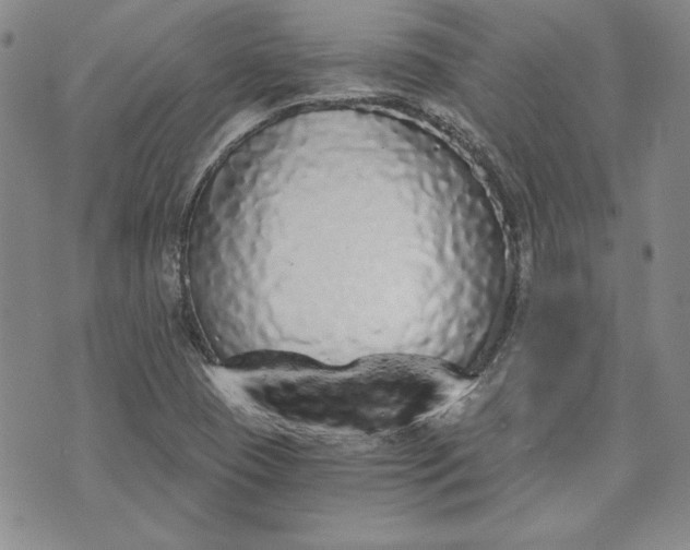 X0000072961409200608041141