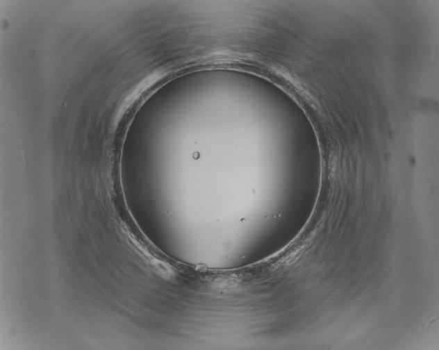 X0000072961410200608041141