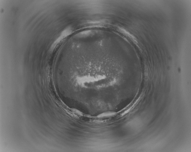 X0000072961411200608041141