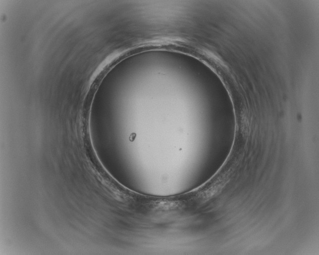 X0000072961412200608041141