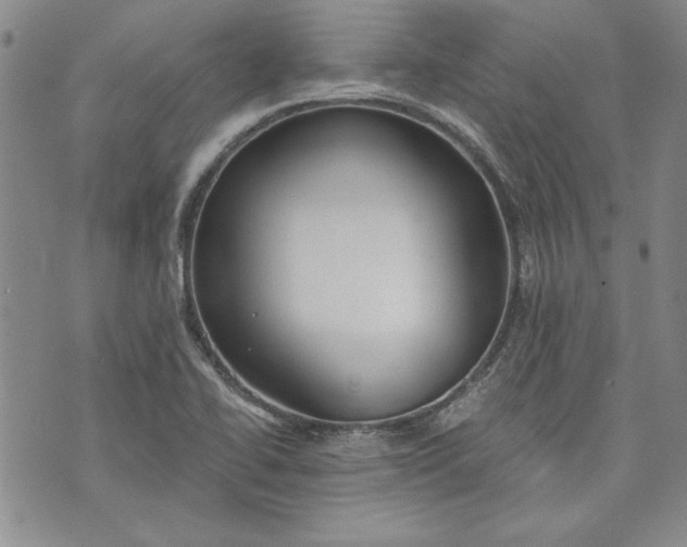 X0000072961414200608041141