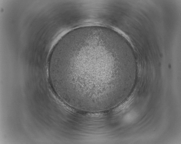 X0000072961415200608041141