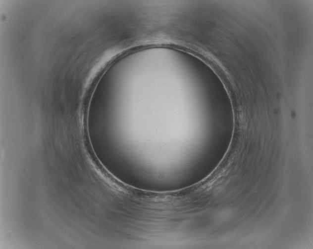 X0000072961416200608041141