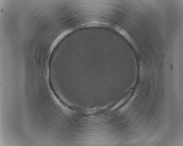 X0000072961418200608041141