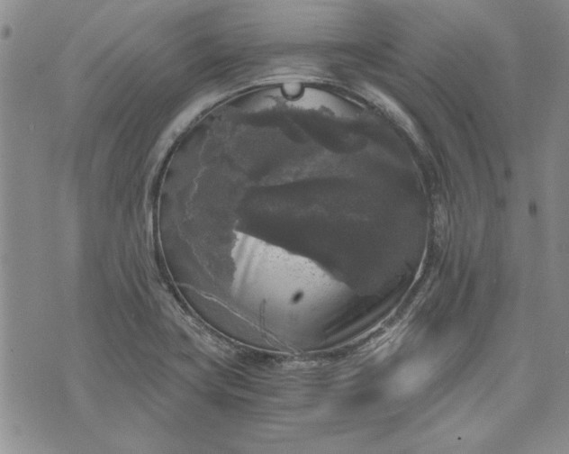 X0000072961419200608041141