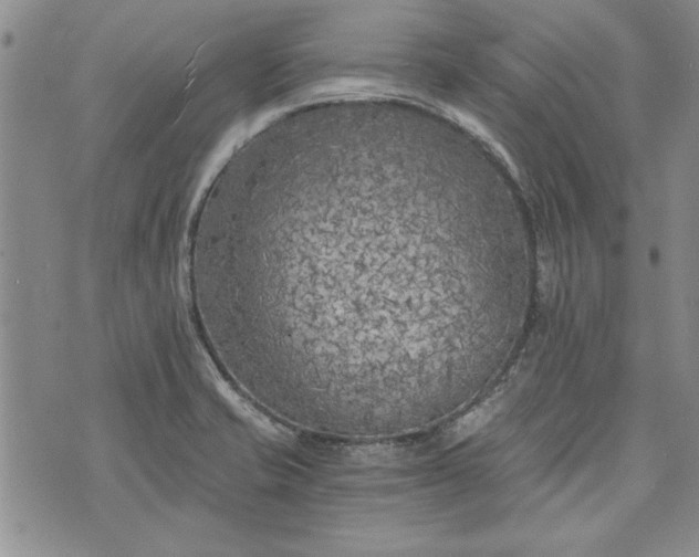 X0000072961421200608041141