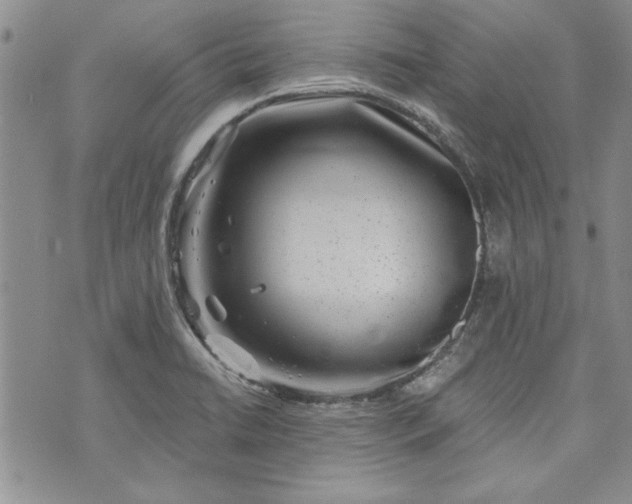 X0000072961422200608041141