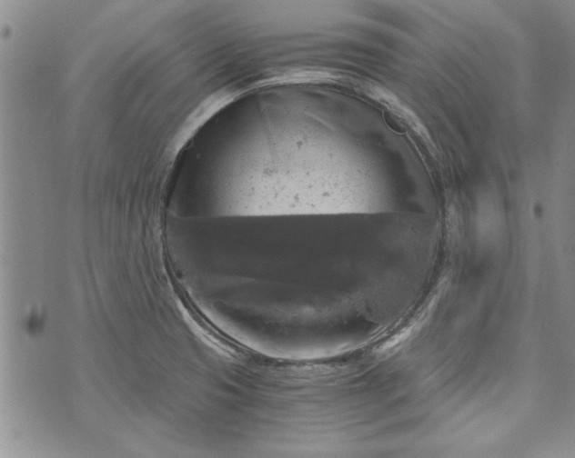 X0000072961425200608041141