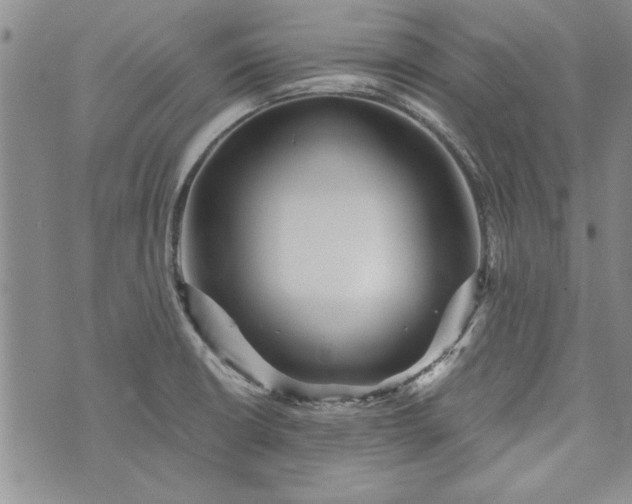 X0000072961426200608041141