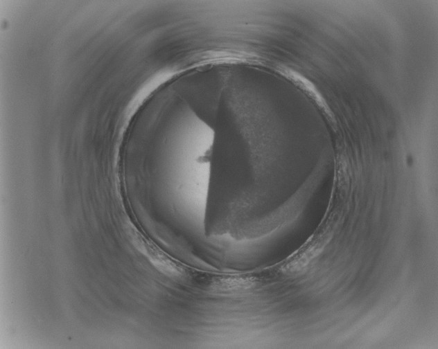 X0000072961427200608041141