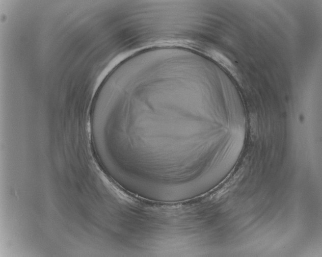 X0000072961428200608041141