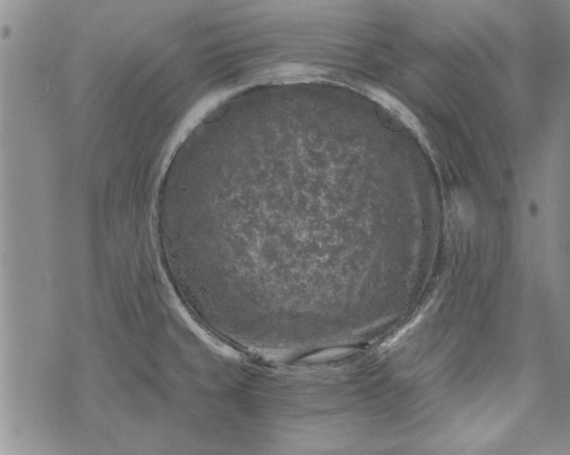 X0000072961429200608041141