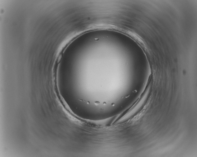 X0000072961430200608041141