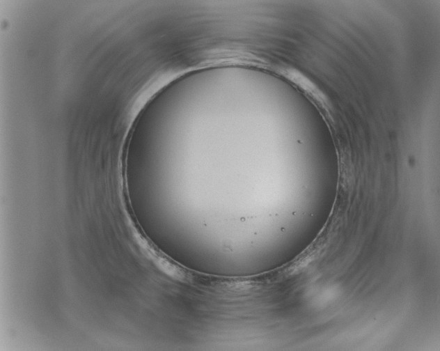 X0000072961431200608041141