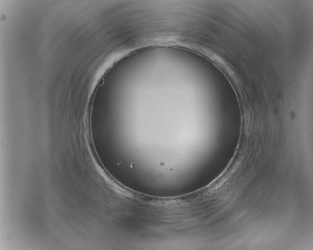 X0000072961432200608041141