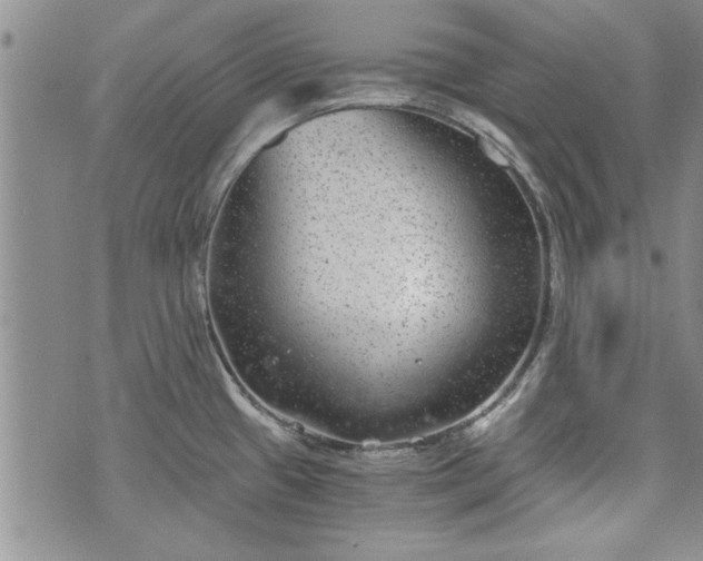 X0000072961433200608041141