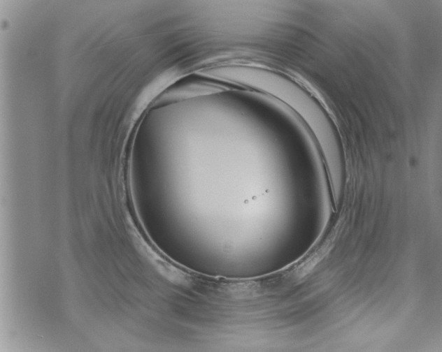 X0000072961434200608041141