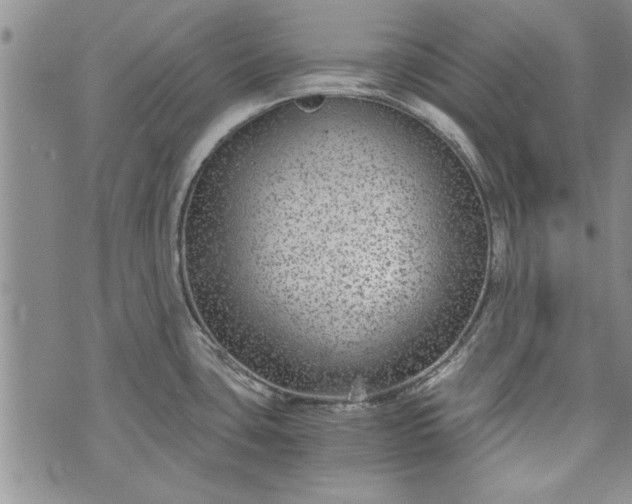 X0000072961435200608041142