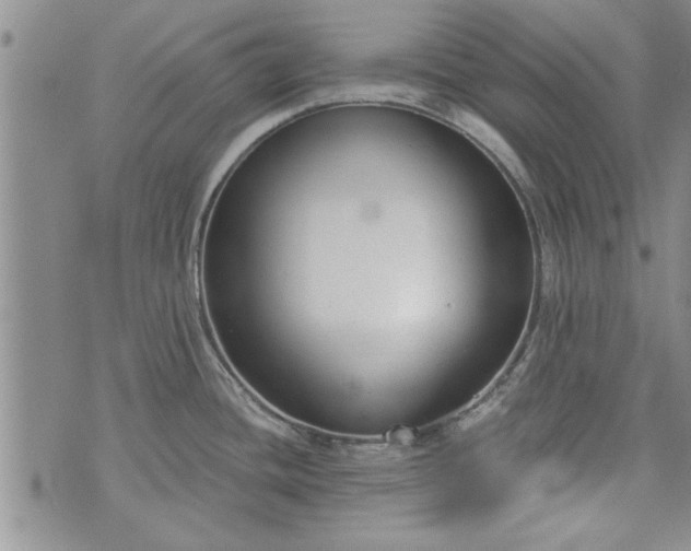 X0000072961436200608041142