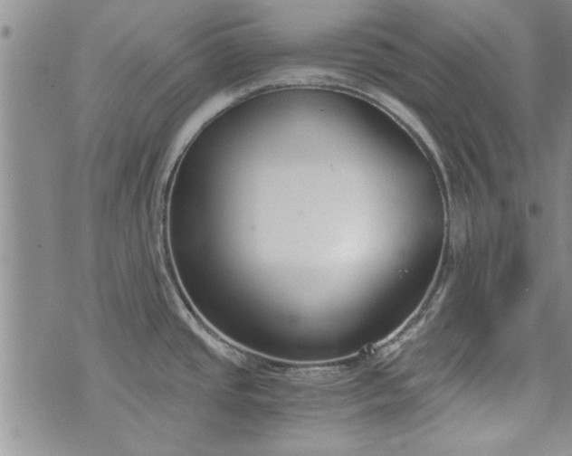 X0000072961437200608041142