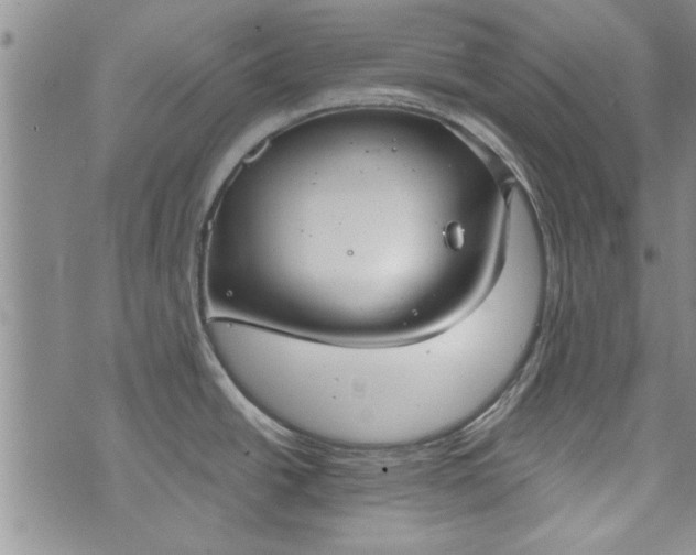 X0000072961438200608041142