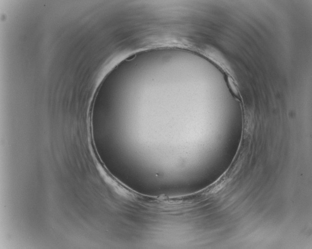 X0000072961439200608041142