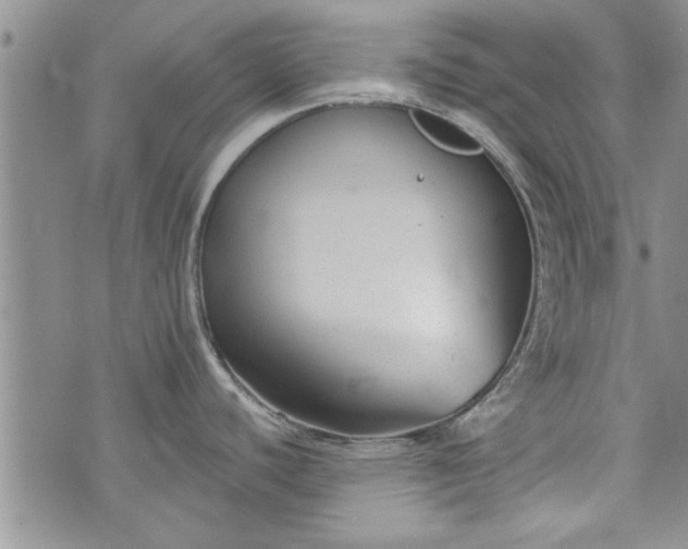 X0000072961440200608041142