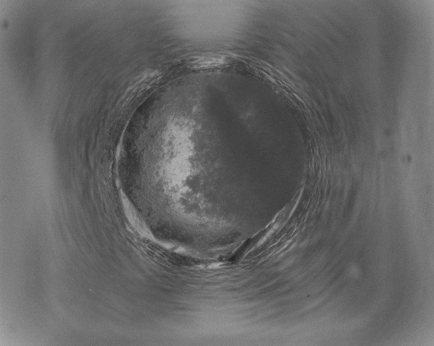 X0000072961441200608041141