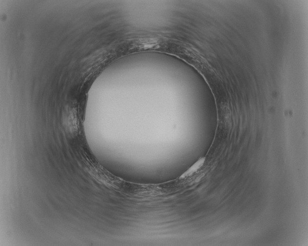 X0000072961442200608041141