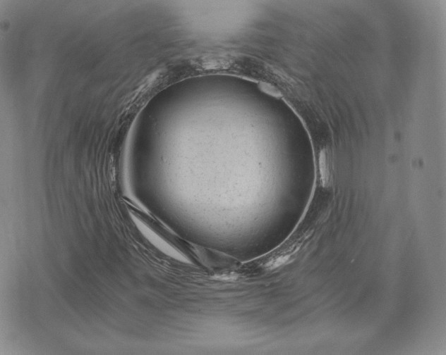 X0000072961443200608041141