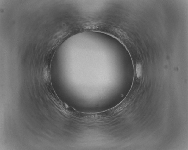 X0000072961444200608041141