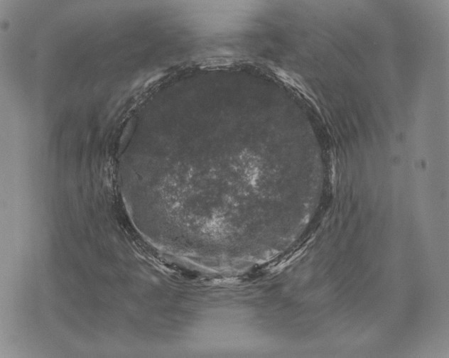 X0000072961445200608041141