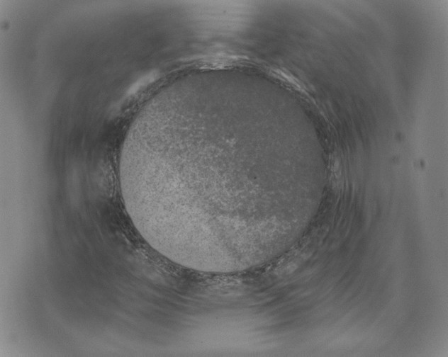 X0000072961446200608041141