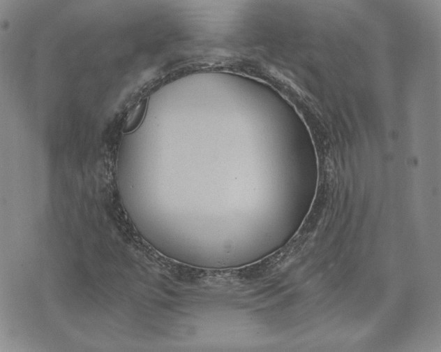 X0000072961447200608041141