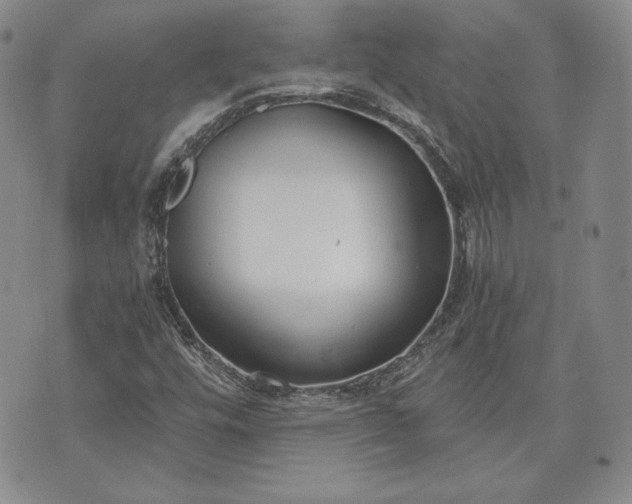 X0000072961448200608041141