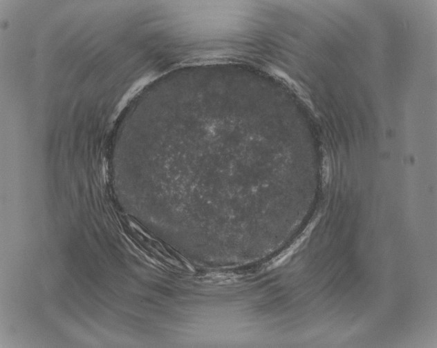 X0000072961449200608041141