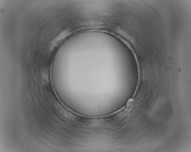 X0000072961451200608041141