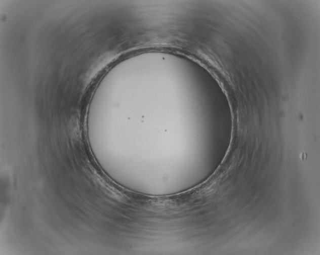 X0000072961452200608041141